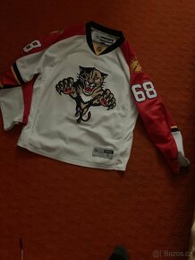 Florida Panthers Jagr jersey - 2