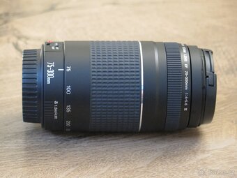 Canon EF 75-300 mm f/4,0-5,6 DC III - 2