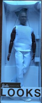 Panenka - Barbie Looks, Basic a Fashionistas - 2