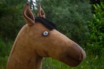 Hobby horse na prodej - 2