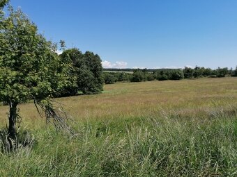 Pozemek 6 ha pro rekreaci, ranč v přírodě Krušných hor - 2