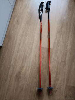 lyžařské hole rossignol tecno - 2
