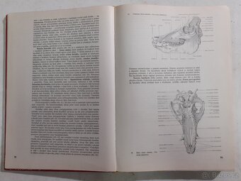 Veterinární anatomie, Radim Najbrt, 1. díl - 2