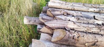 Dřevěné kůly - 2