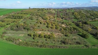 HUSTOPEČE U BRNA - VINICE A SADY - 2