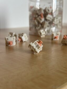 Switche Holy Panda - 2