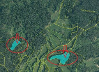 Prodej lesního pozemku v k.ú. Dolní Kožlí - 2