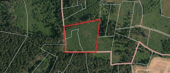 Prodej lesa Milejovice 11506m2 - 2