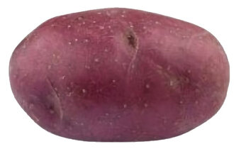 Brambory  Mulberry  Beauty red - 2