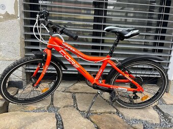 Core nipper vel. 20 - 2