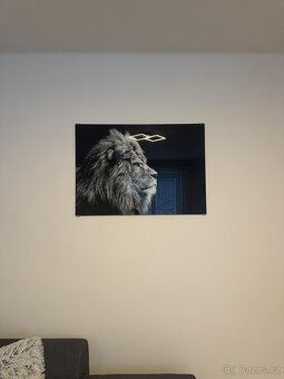 Skleněný obraz Lev - 2