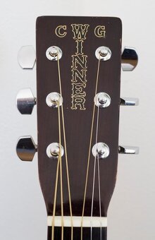 Akustická kytara CG Winner W-710    ( Martin D-18 ) - 2