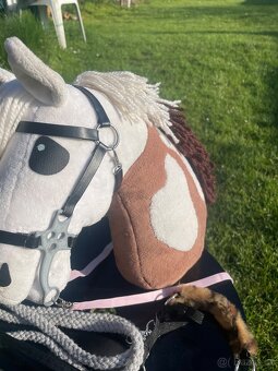 hobby horse - 2