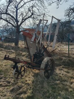 Hrstovka koňská sekačka - 2