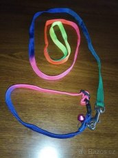 Obojek a voditko - 2