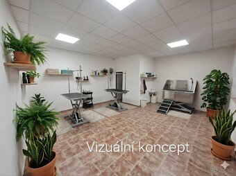 Pronajmu komerční prostor - 2