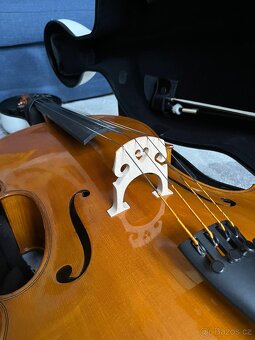 Violoncello 1/1 - 2