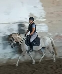 WPBR plavobilá - 2