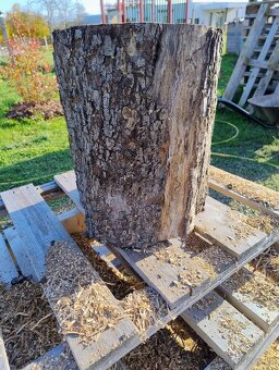 Špalek hruška / švestka - 2