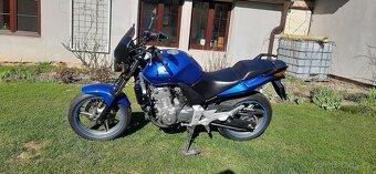 Honda CBF 500 - 2
