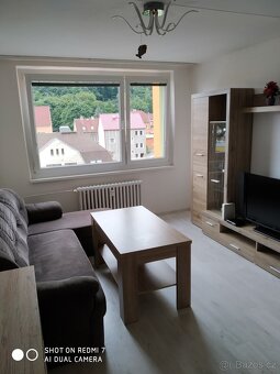 Pronajmu byt v Dubí u Teplic - 2