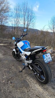 Suzuki SFV 650 Gladius 2009 - 2
