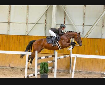 Valach po Sir Bento - 2