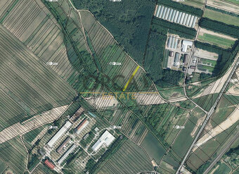 Pozemek v k.ú. Moravský Písek - 2