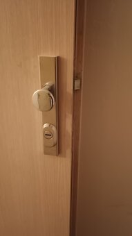 Panelákové vstupní dveře do bytu - 2