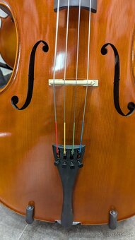Violoncello 4/4 celomasivní nastroj, lihový lak - 2