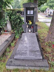 Prodám hrob v Hr. Králové - 2