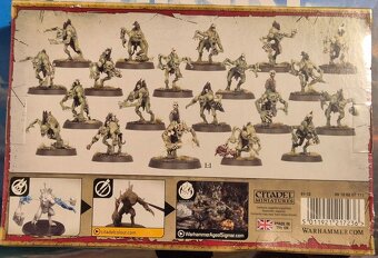 P: Warhammer AoS - 2