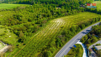 Prodej ovocného sadu, 10048 m², Roudnice nad Labem - 2