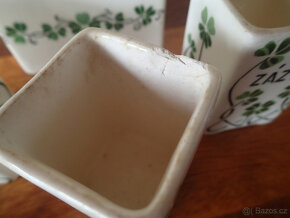 Sada kořenek - čtyřlístek, jetel - 2