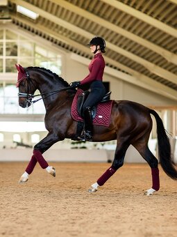 Equestrian Stockholm New Maroon DL - 2