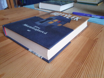 Hotýlek - Alena Mornštajnová - 2