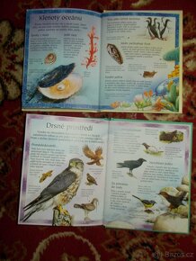 Ptáci a Pobřeží knihy - 2