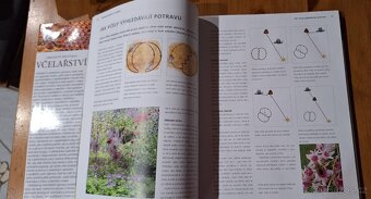Kniha včelařství - 2