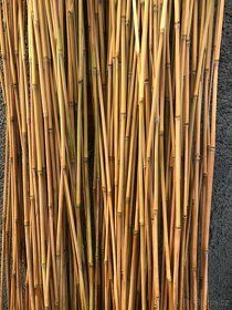 TYČKY Z RÁKOSU - 2