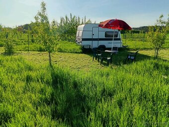 Pronájem zahrady 40 km od Prahy, Poděbrady, jezero, les - 2
