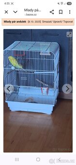 Mlade andulky i s kleci - 2