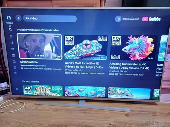 4K Smart Android TV Philips 55PUS7304-úhlopříčka 140cm - 2