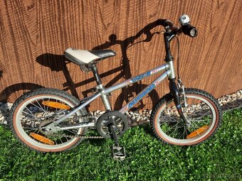 kolo author vital - 2