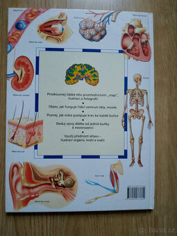 Richard Walker: Dětský atlas lidského těla - 2