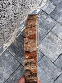 Nástěnné hodiny z masivu - 2