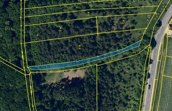 Pronájem pozemků v obci Jestřabice 4215 m2 - 2
