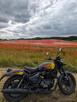 Royal Enfield Shotgun 650 - 2
