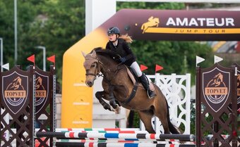 Český sportovní pony s velkým srdcem a potenciálem - 2
