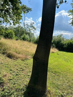 Pozemek se stavbami na okraji vesnice - 2