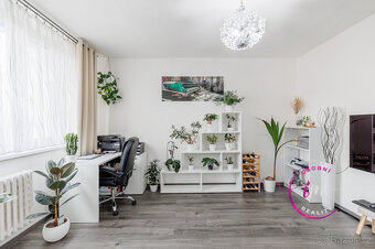 Prodej bytu 3+1 Jihlava, Jarní - 2